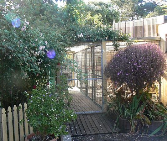 Entrance to Cattery Cottage Runs 2