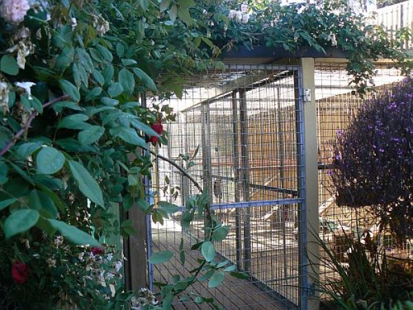 Entrance to Cattery Cottage Runs